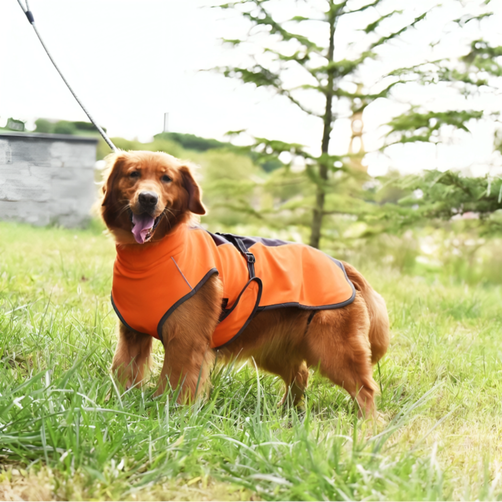 Windbreaker Dog Coat