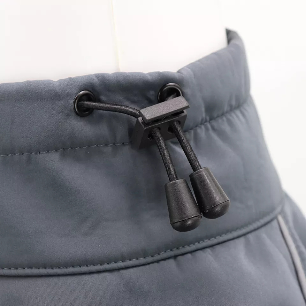 Windbreaker Dog Coat