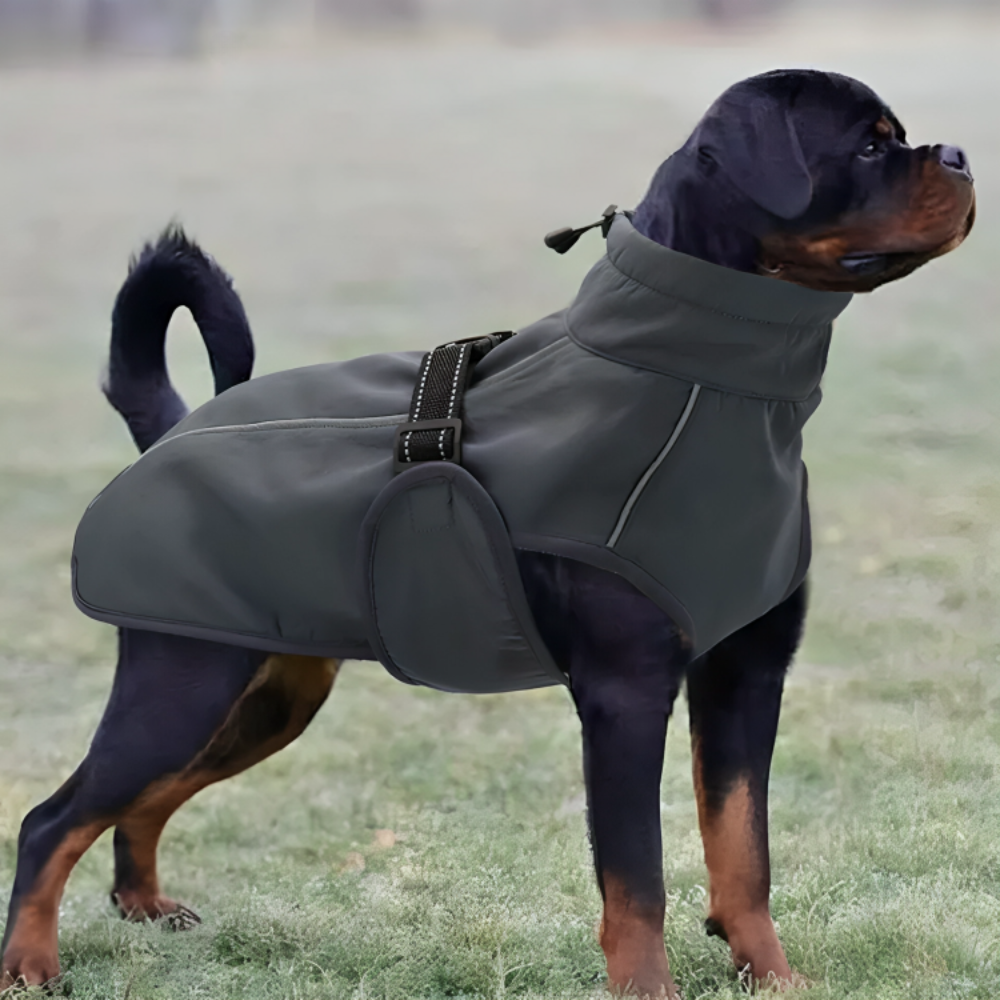 Windbreaker Dog Coat