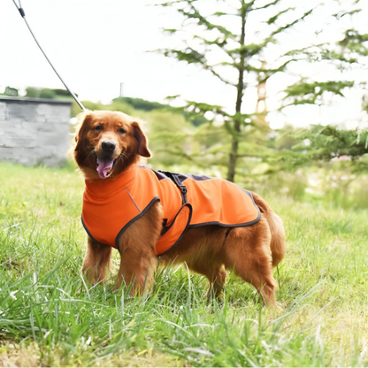 Windbreaker Dog Coat