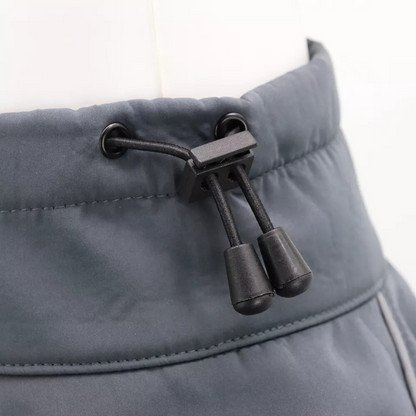 Windbreaker Dog Coat