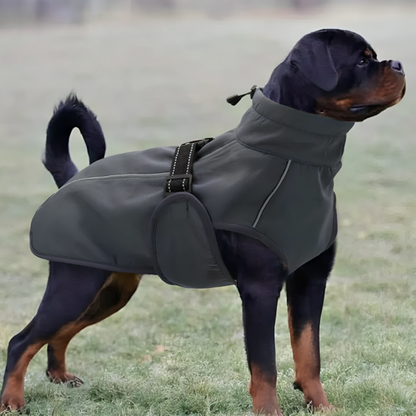 Windbreaker Dog Coat